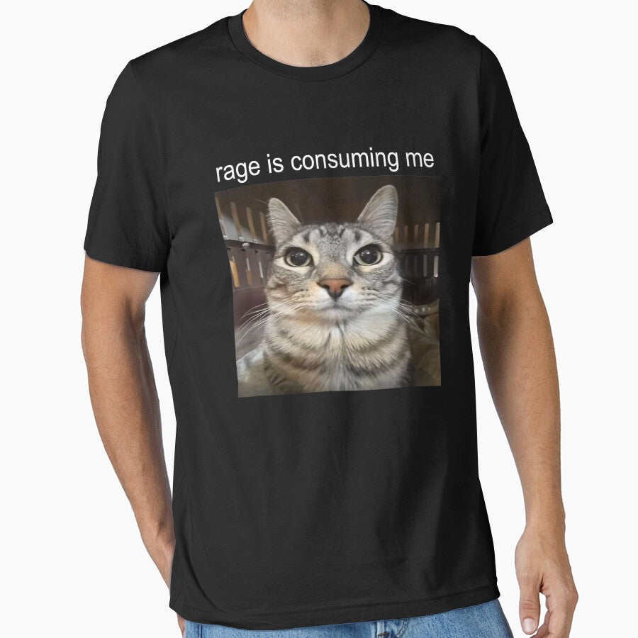 Rage Is Consuming Me Cat Meme by sigrunsartcave