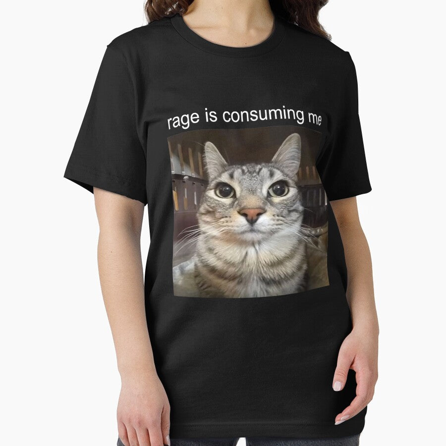 Rage Is Consuming Me Cat Meme by sigrunsartcave