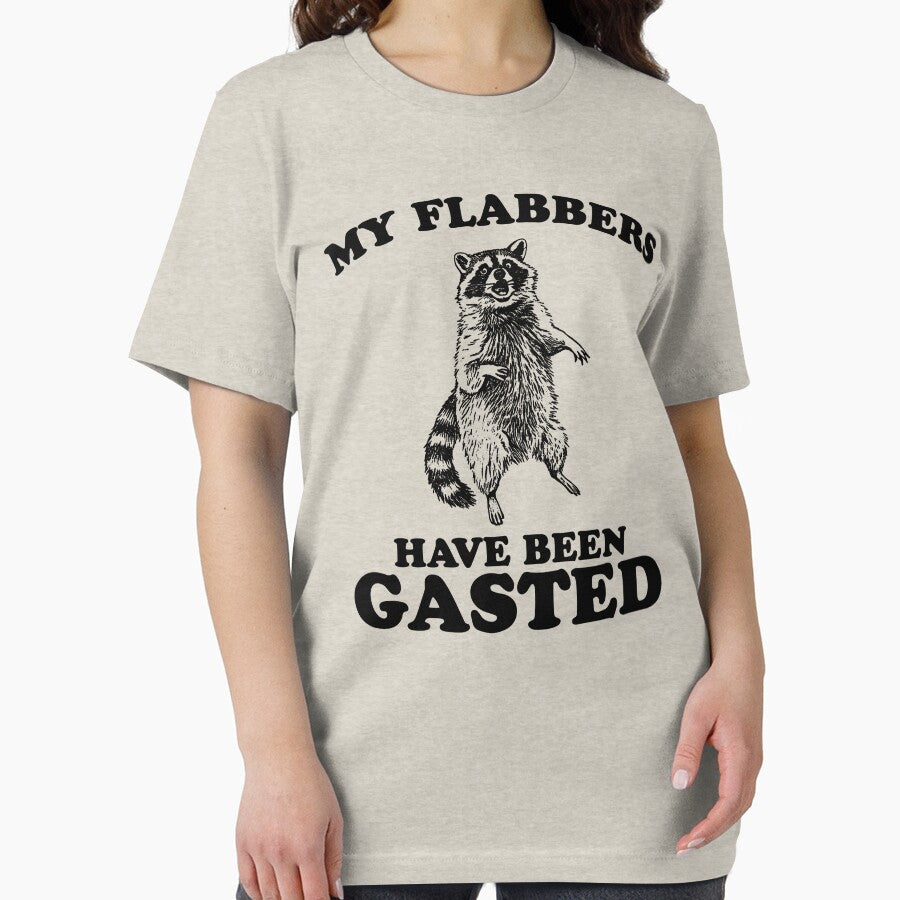 My Flabbers Have Been Gasted Shirt, Funny Raccoon Meme, Funny Trash Panda, Vintage Retro Cartoon Shirt, Silly Tee, Weird Animal by Rosqzz