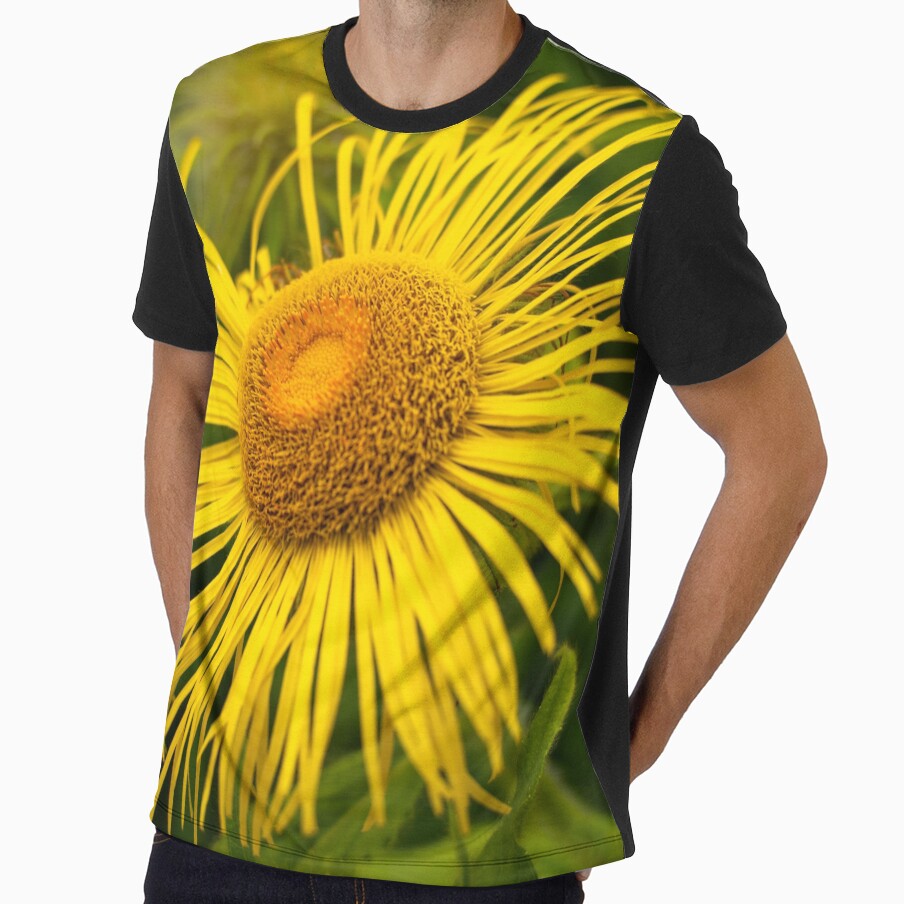 Beautiful Large Yellow Daisy Flower Closeup by Harmony Of The Mind