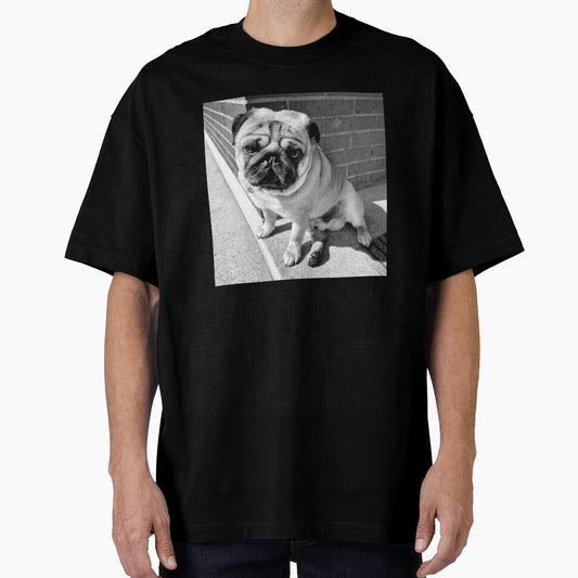 Pug Sunbathing | Dog Lover | Pug Lover | Animal Lover by ce54r