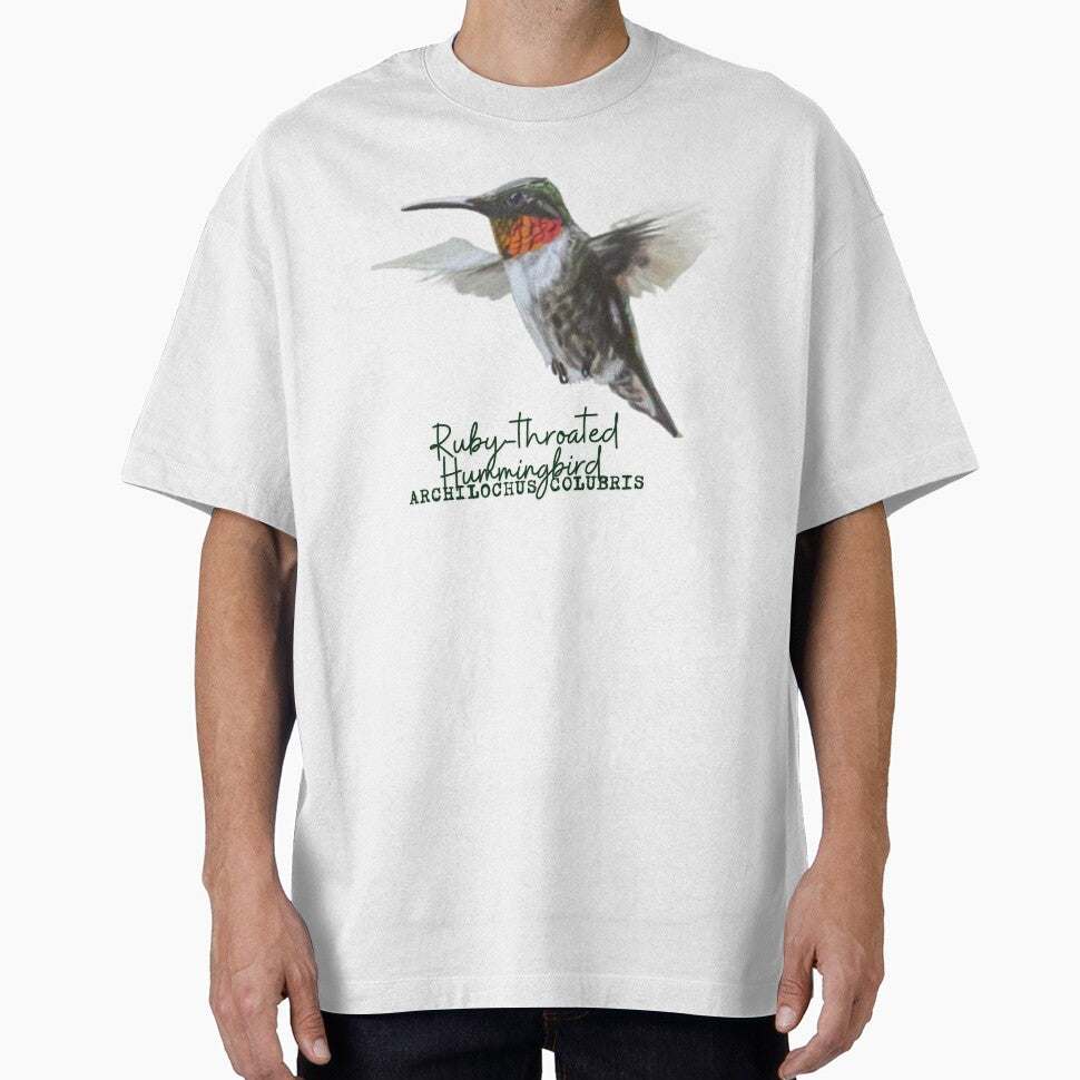 Ruby-Throated Hummingbird Drawing with Latin Name Label by Heather Barker