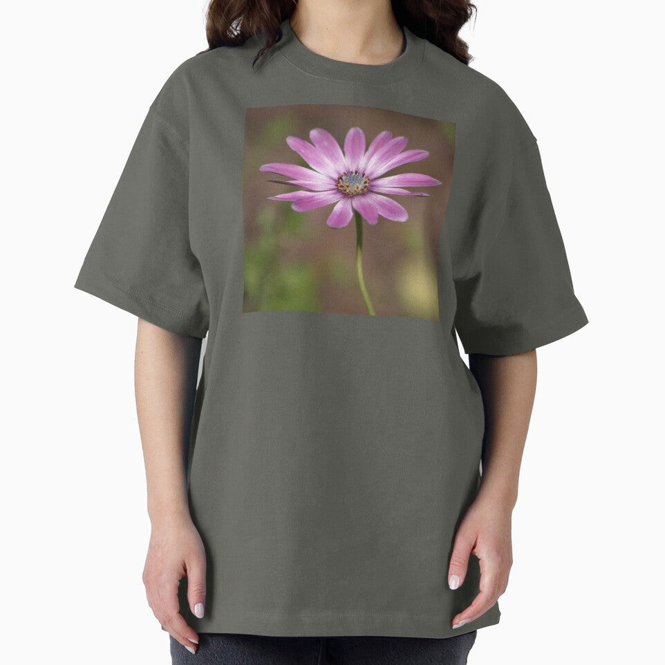Spring African Daisy by K D Graves Photography