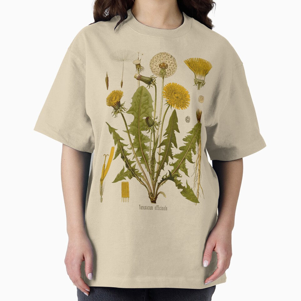 DANDELION Antique botanical illustration by FLIP-original