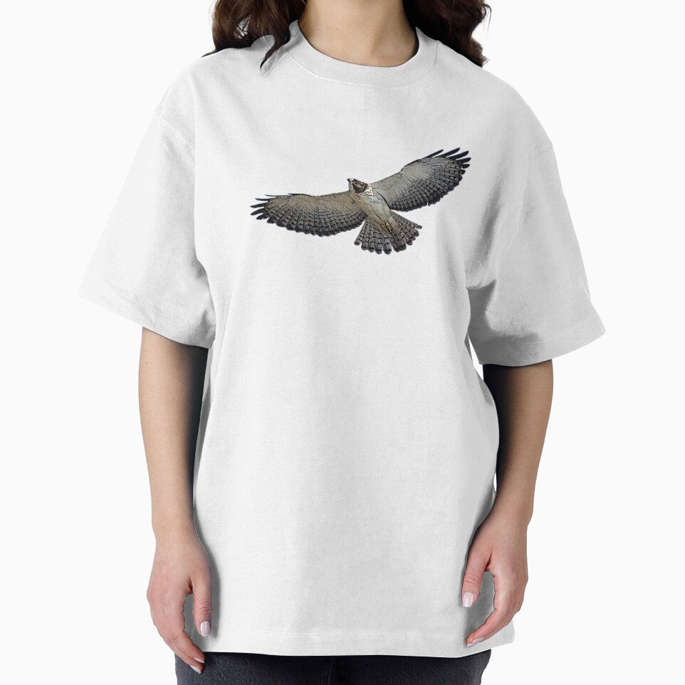 Short Tailed Hawk Color Design by designsasstultd