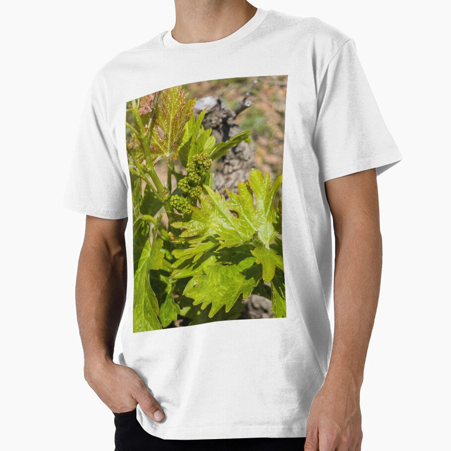 Baby Grape design by manosks