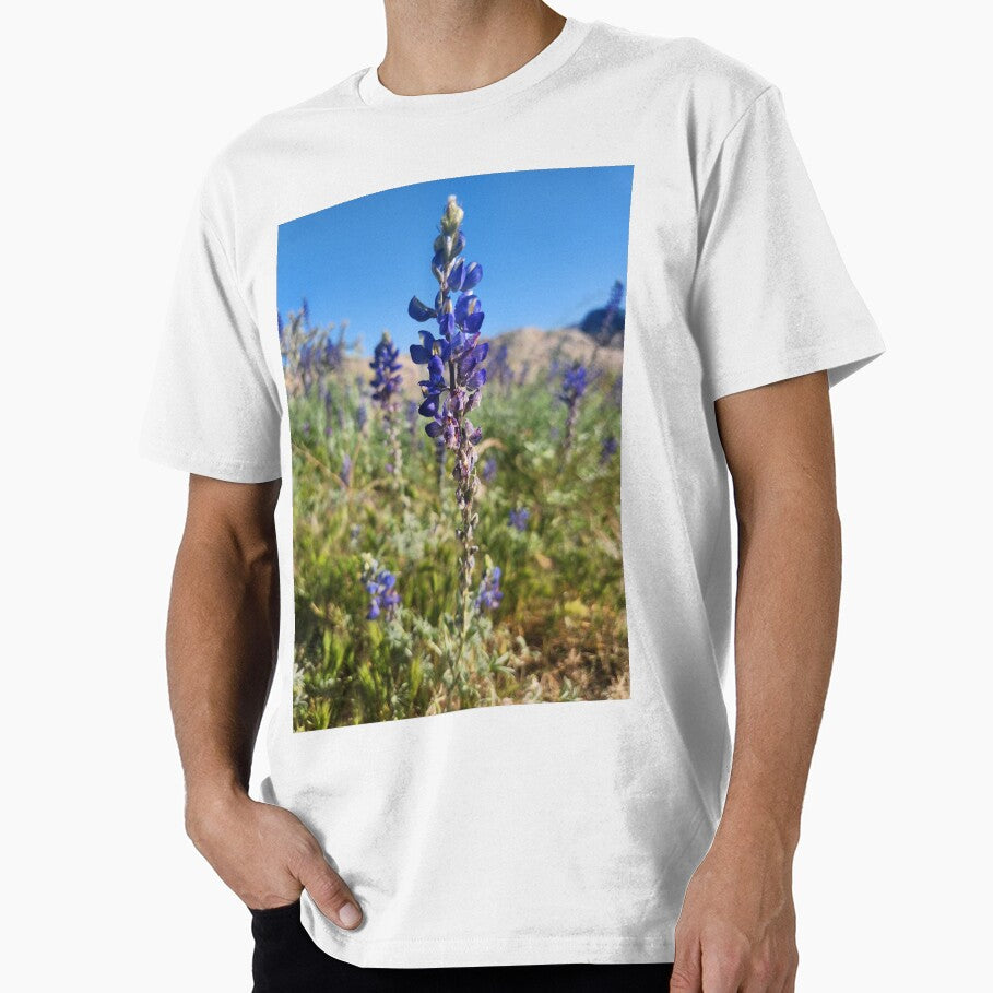 Lupine by Katthair