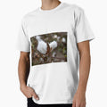 White textured fluff cotton plants on a blurred background close-up. Greece by EG Creativity Art