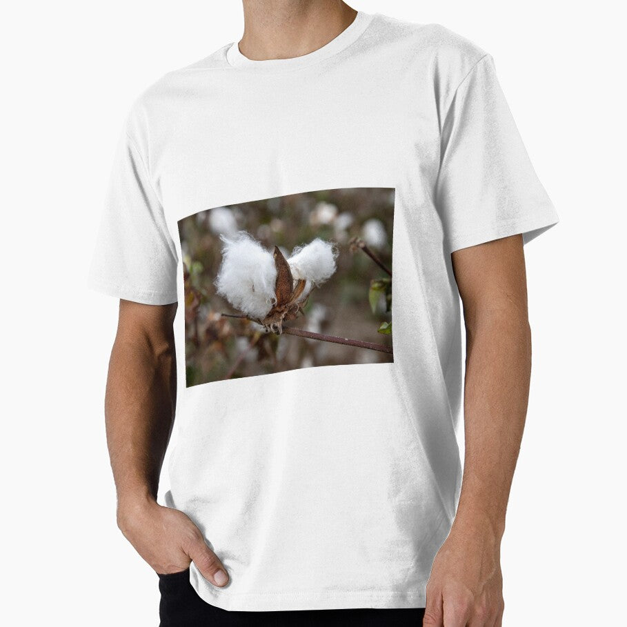 White textured fluff cotton plants on a blurred background close-up. Greece by EG Creativity Art