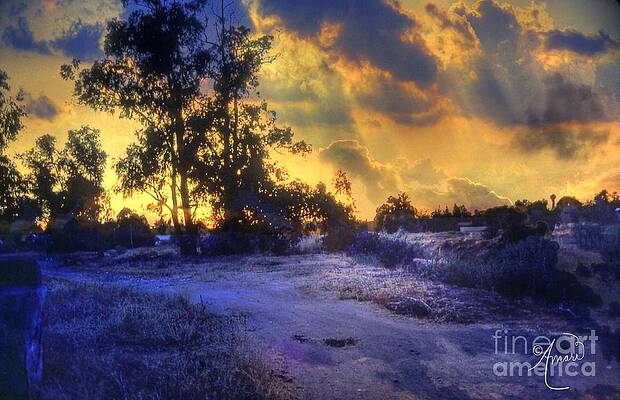 Sundown  Purple Haze Print