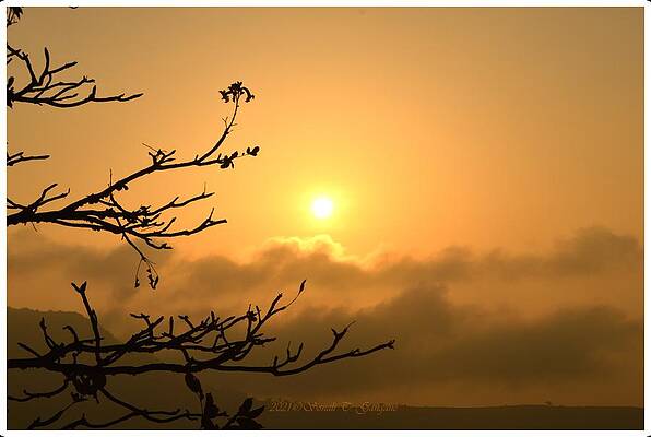 Sunrise To Remember Print