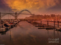 Sunset Newport Harbor Print
