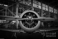 T6 Texan Print