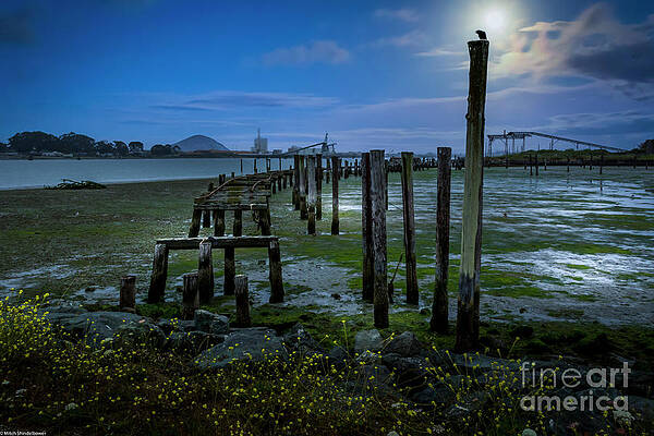 The Incoming Tide Print