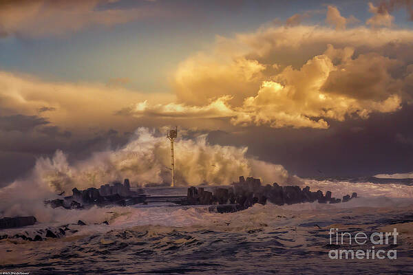 The King Tides Print