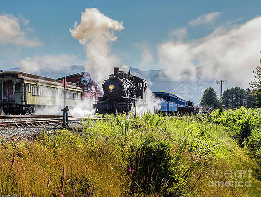 The Oregon Coast Scenic Railroad Print