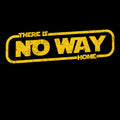 There Is No Way Home
