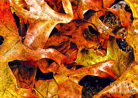 There's Life In Those Leaves Print