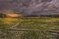 Trout Creek Meadow Spring Snow Print