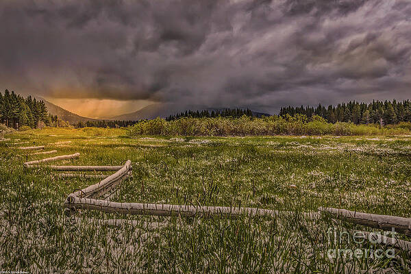 Trout Creek Meadow Spring Snow Print