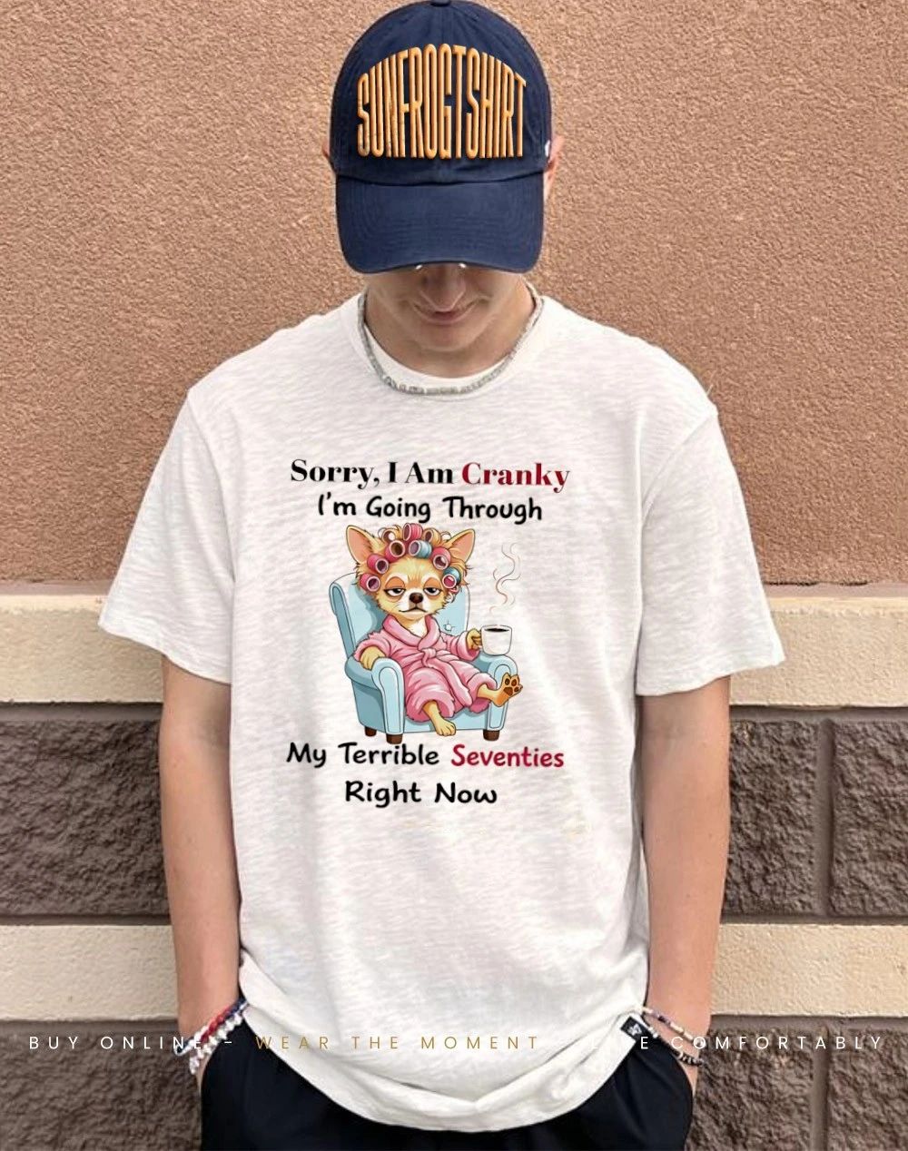 Chihuahua Sorry I am Cranky I’m going through my terrible seventies right now shirt