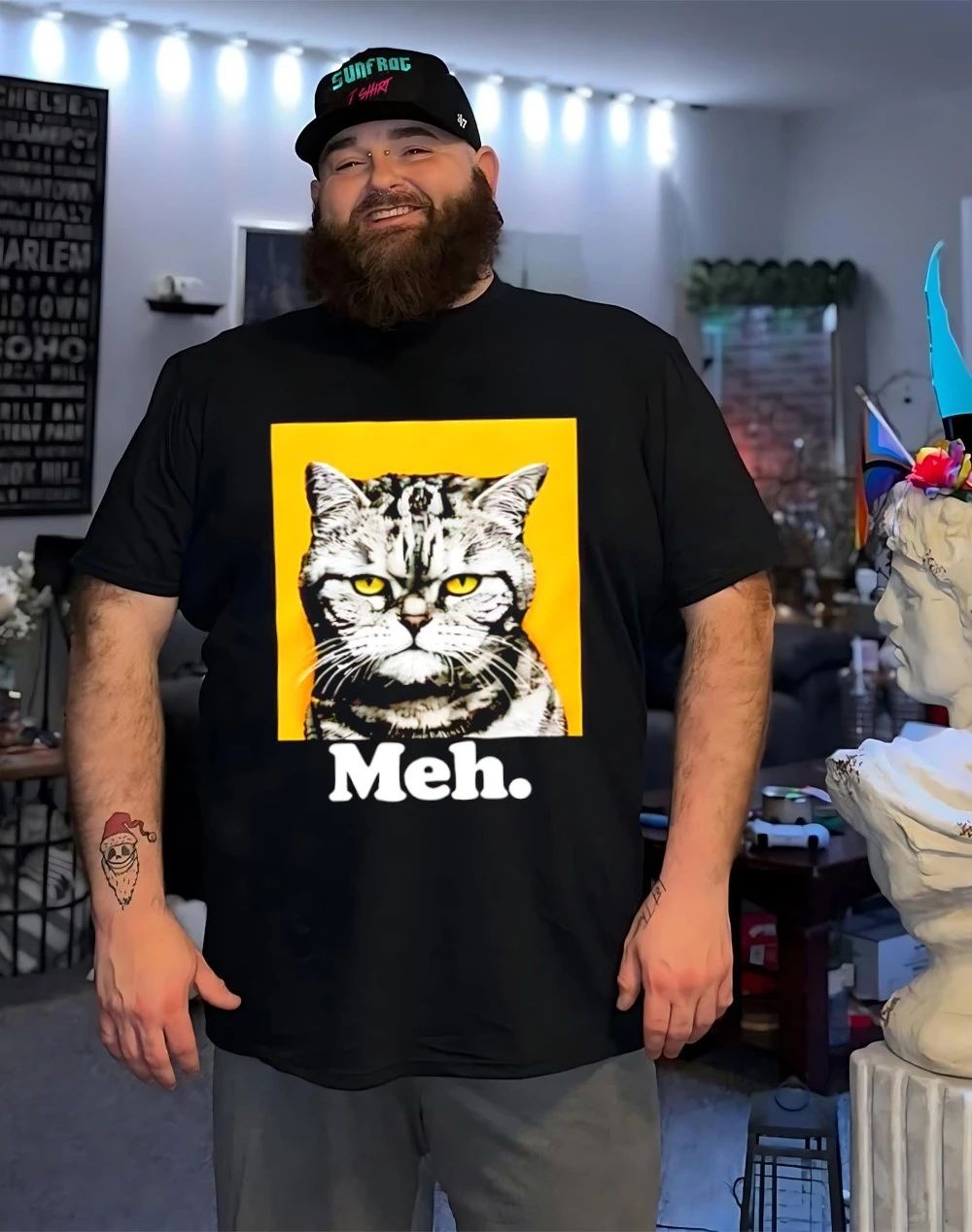 90 Day The Single Life Meh Cat Shirt