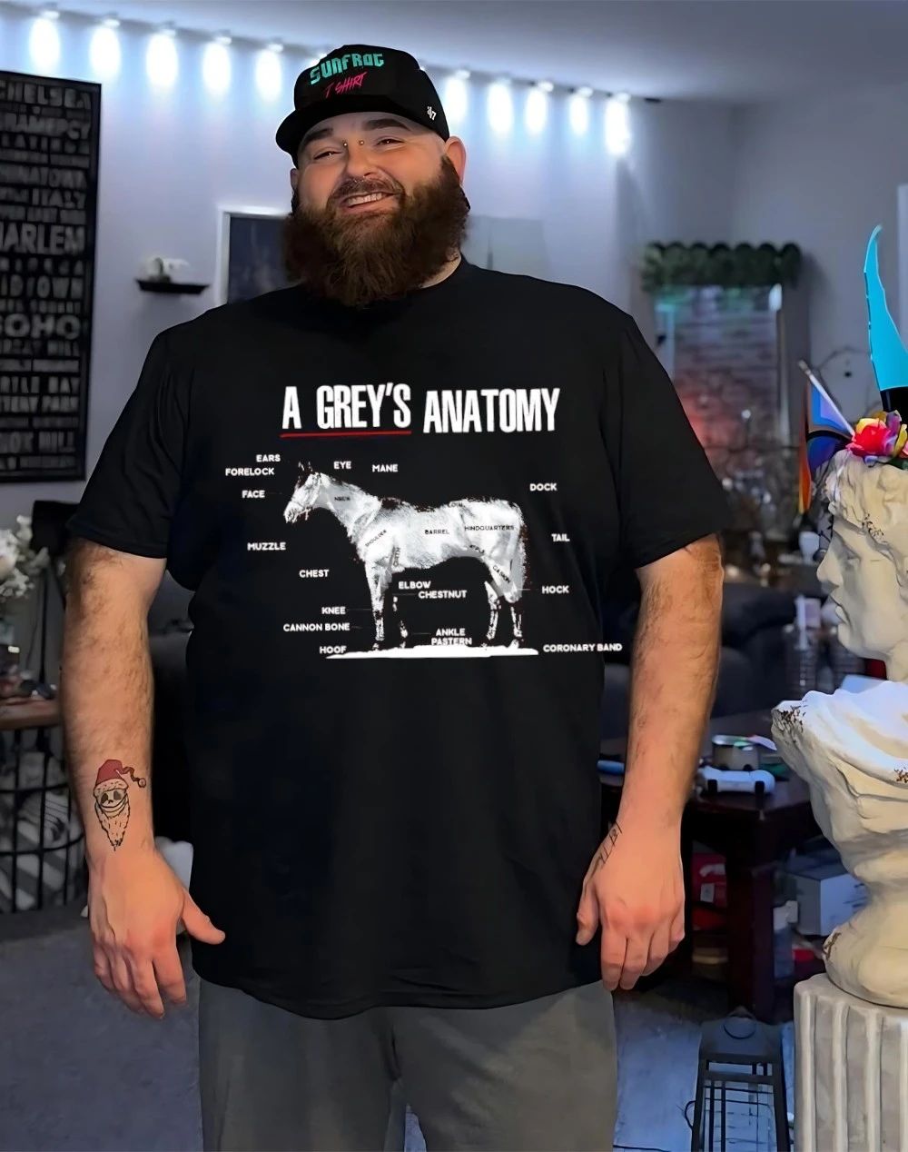 A grey’s anatomy horse shirt