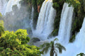 Upper Iguazu Falls With Tropical Vegetation In Argentina South America Print
