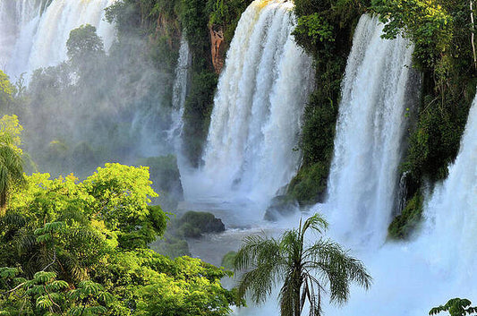 Upper Iguazu Falls With Tropical Vegetation In Argentina South America Print
