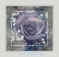 Valentine Rose Print