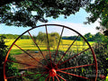 Wagon Wheel And Garden Print