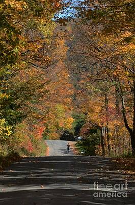 Walking A Country Road Print