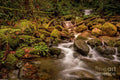 Wallace Falls State Park Print