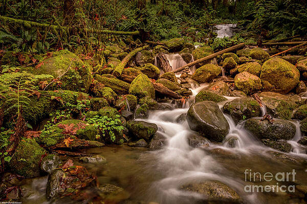 Wallace Falls State Park Print