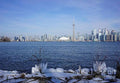 Winter In Toronto Print