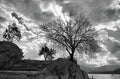 Winter Trees Near Bafa Lake Ruins Of Herakleia Turkey Print