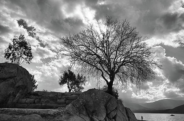Winter Trees Near Bafa Lake Ruins Of Herakleia Turkey Print