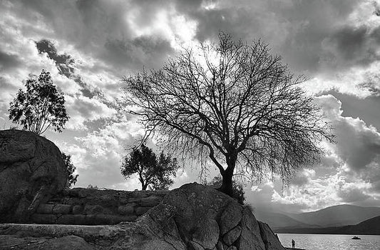 Winter Trees Near Bafa Lake Ruins Of Herakleia Turkey Print
