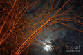 Winter's Night True Moon Print