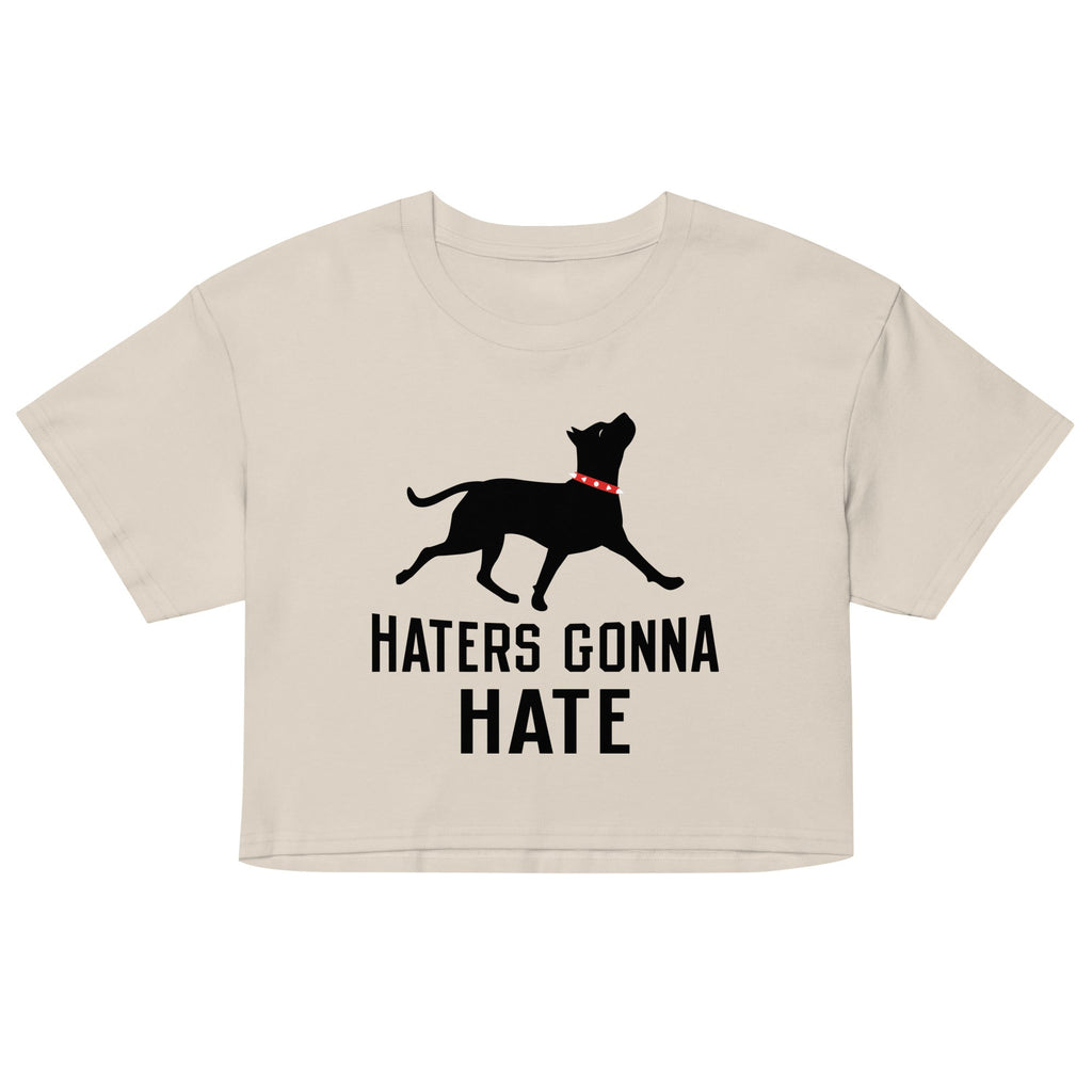 Haters Gonna Hate Pit Women's Crop Tee