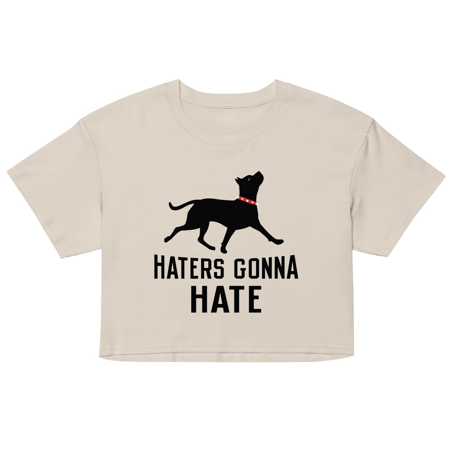 Haters Gonna Hate Pit Women's Crop Tee