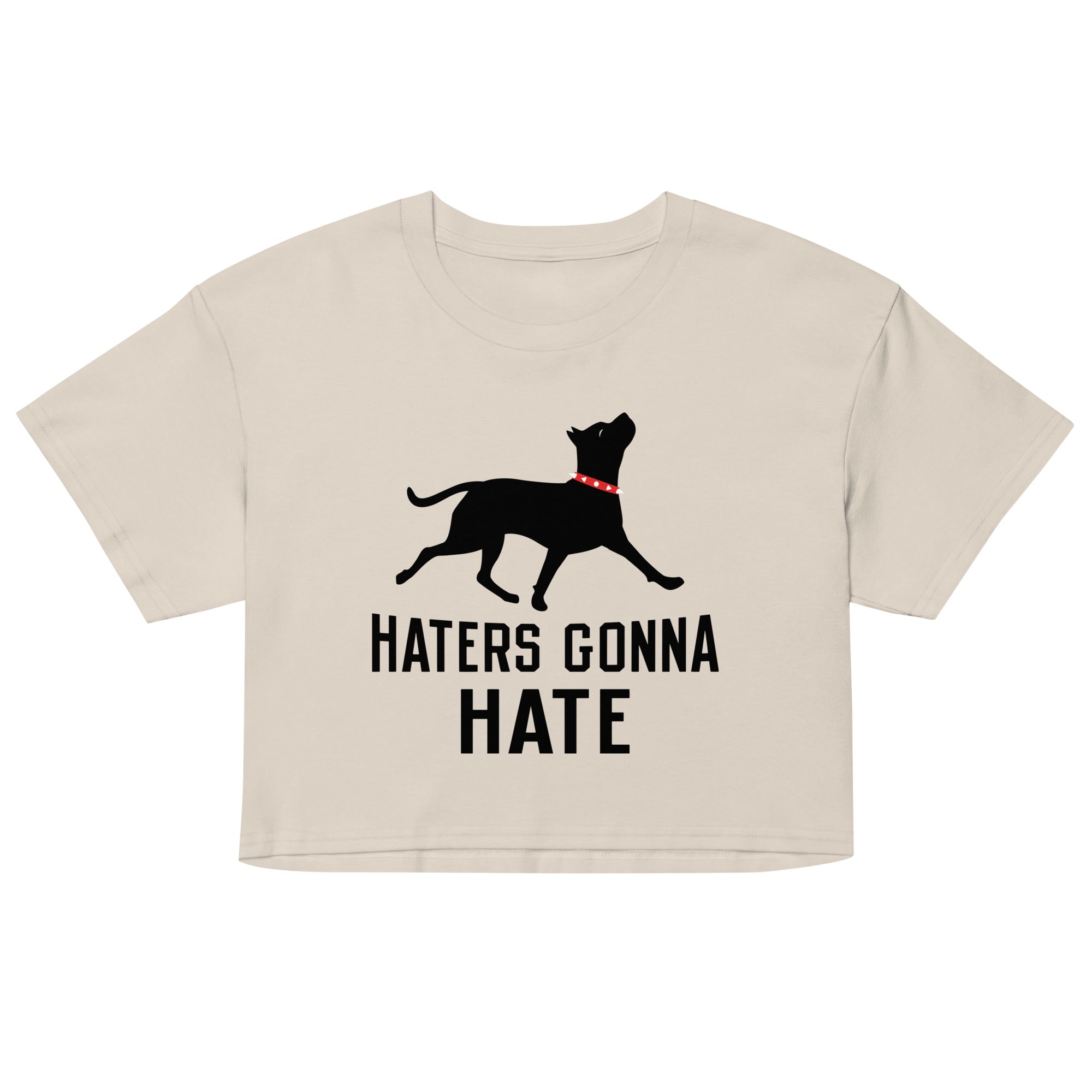 Haters Gonna Hate Pit Women's Crop Tee