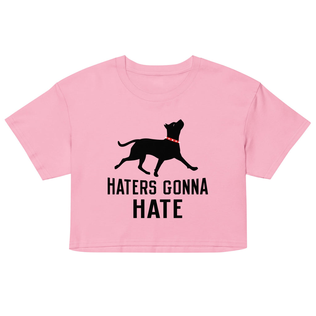 Haters Gonna Hate Pit Women's Crop Tee