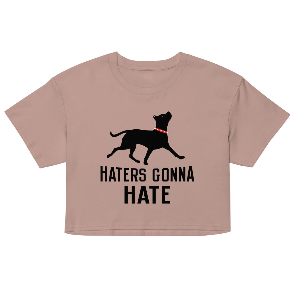 Haters Gonna Hate Pit Women's Crop Tee