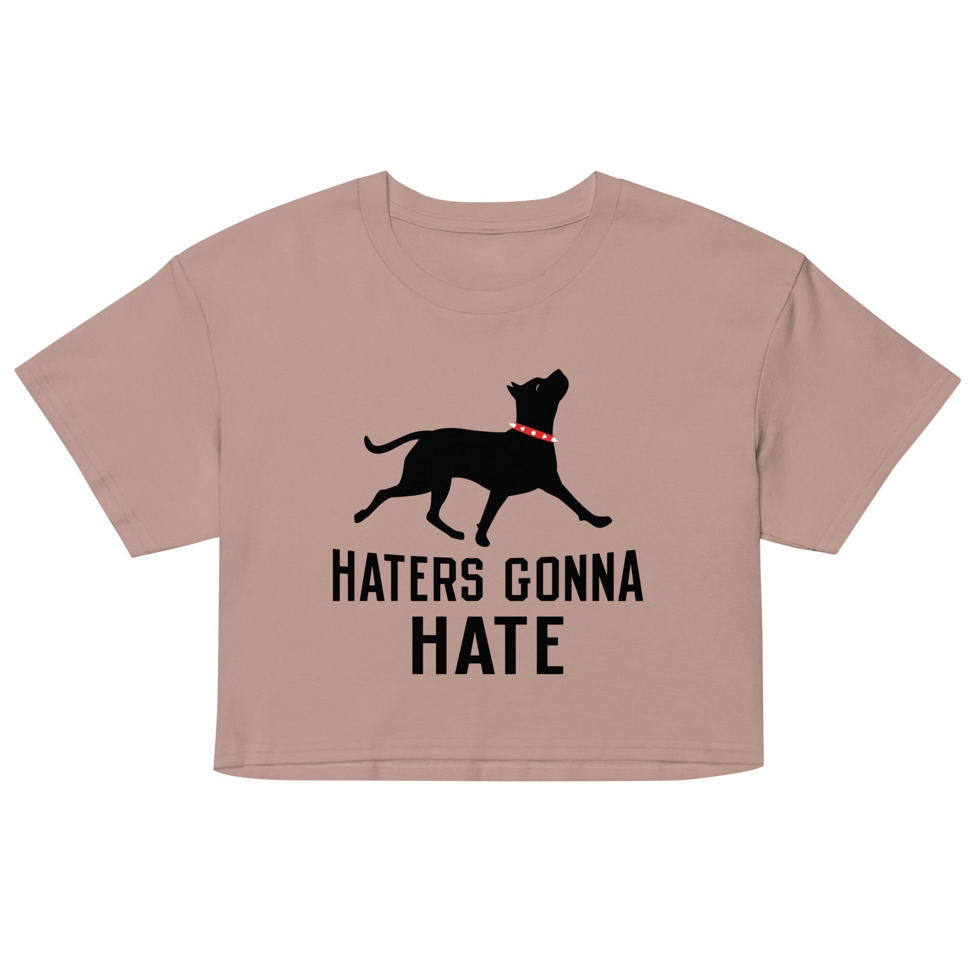 Haters Gonna Hate Pit Women's Crop Tee