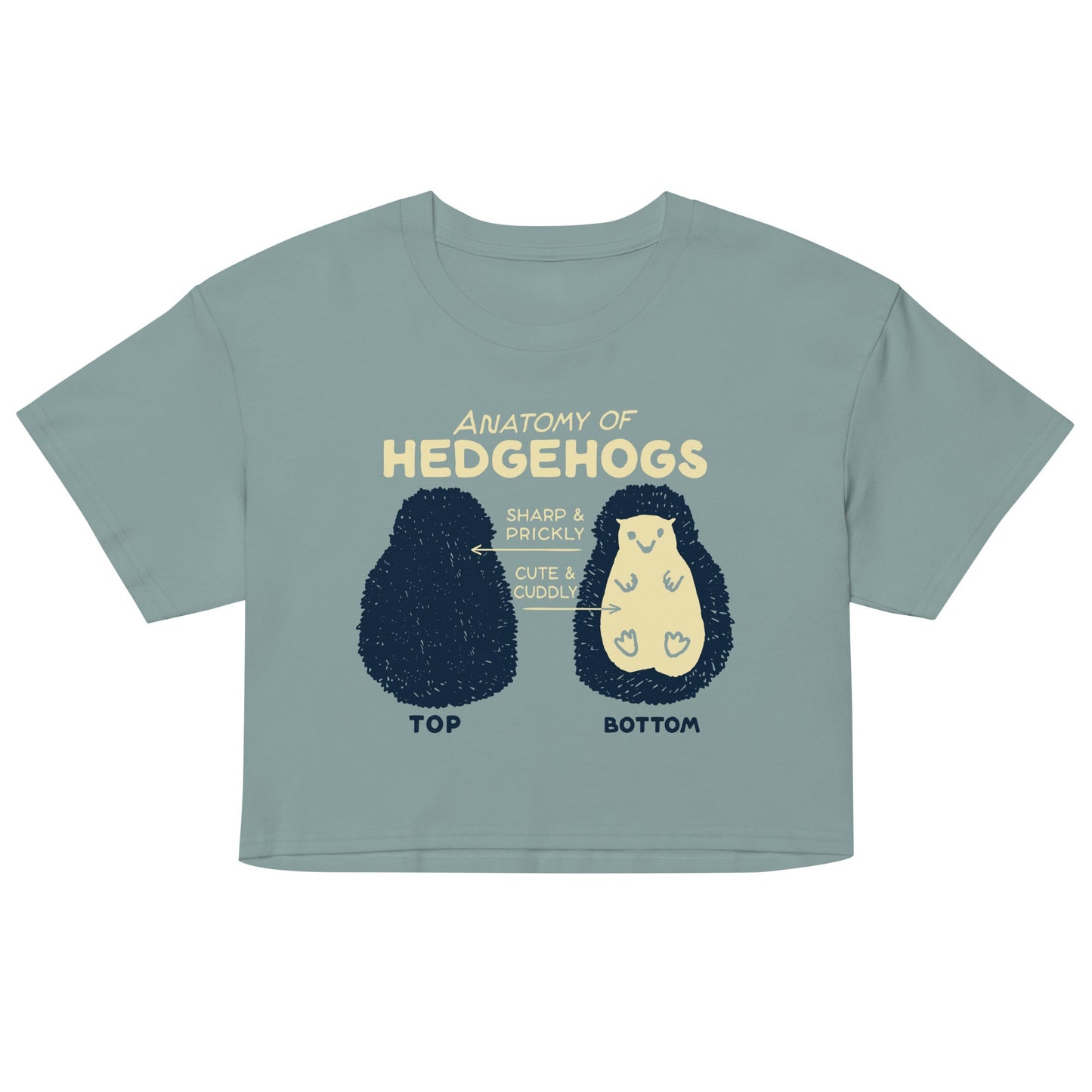 Anatomy Of Hedgehogs Women's Crop Tee