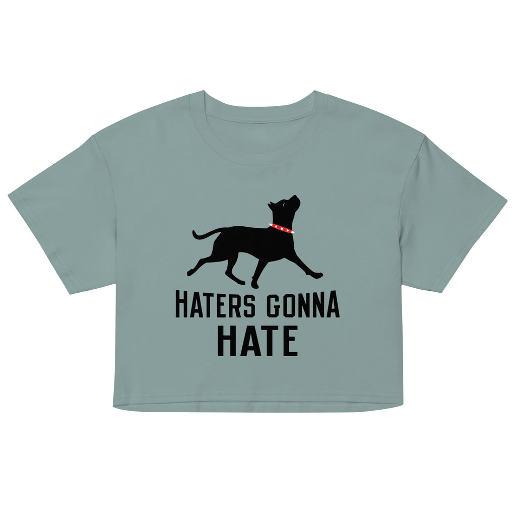 Haters Gonna Hate Pit Women's Crop Tee
