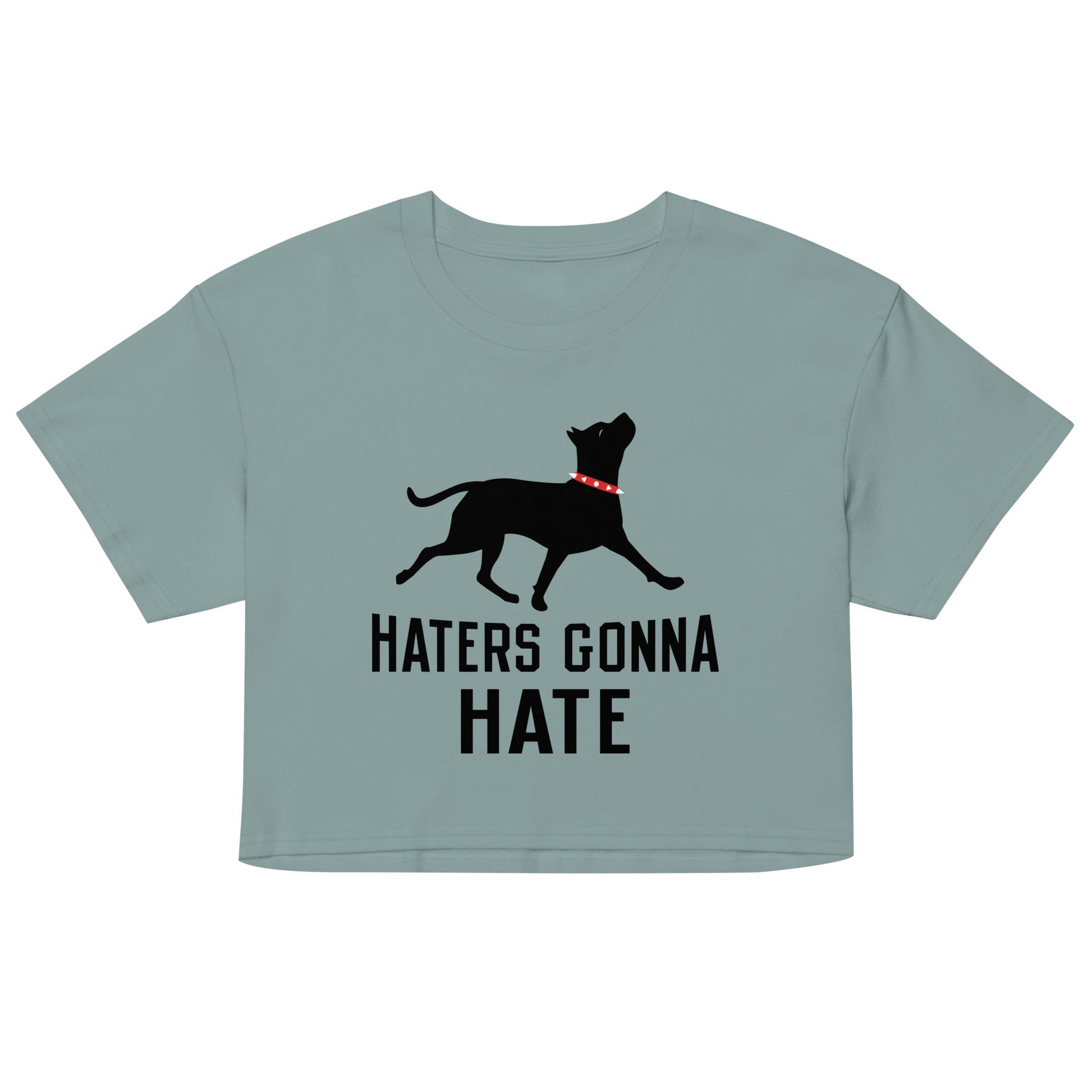 Haters Gonna Hate Pit Women's Crop Tee