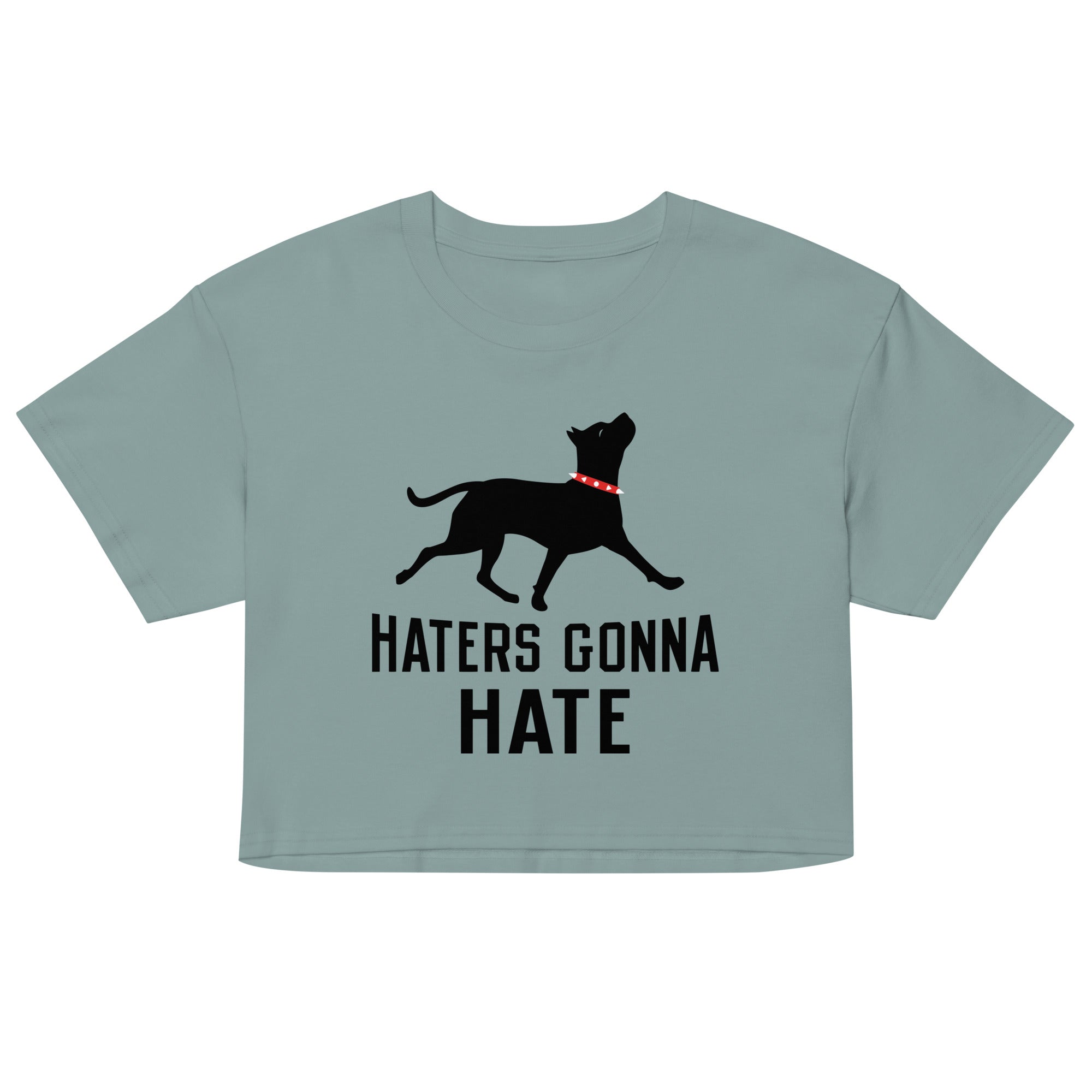 Haters Gonna Hate Pit Women's Crop Tee