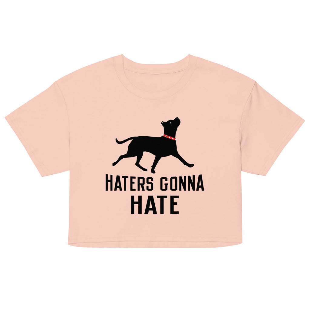 Haters Gonna Hate Pit Women's Crop Tee
